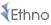 стеклянные двери Ethno